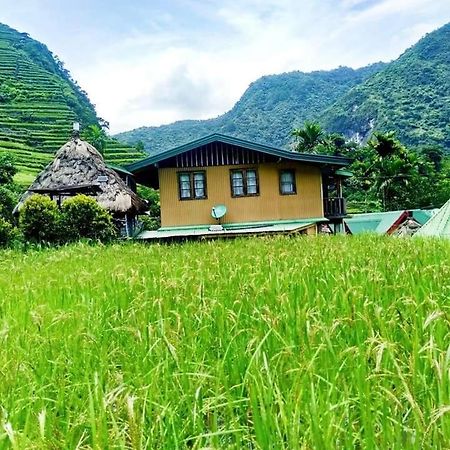 Batad Village Homestay & Restaurant Banaue Ngoại thất bức ảnh